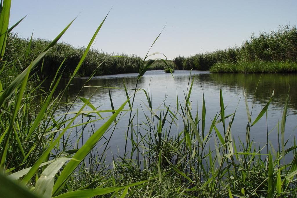 Azraq Lodge Al Azraq ash Shamali Экстерьер фото